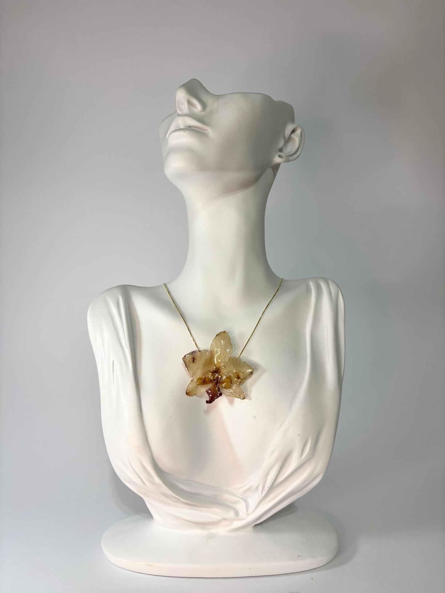 Mini soft brown orchid