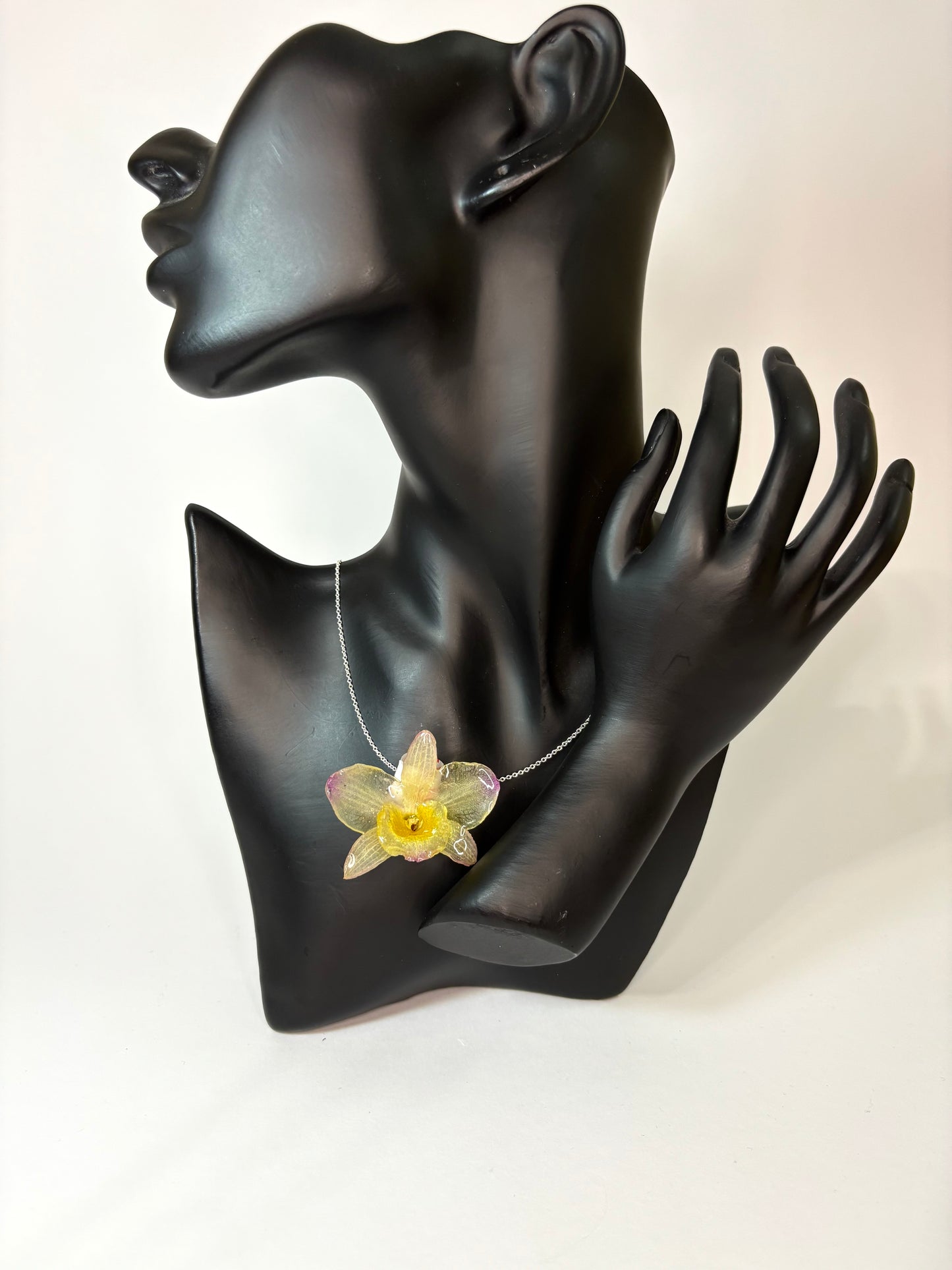 Tropical orchid 🌺🥥🌴