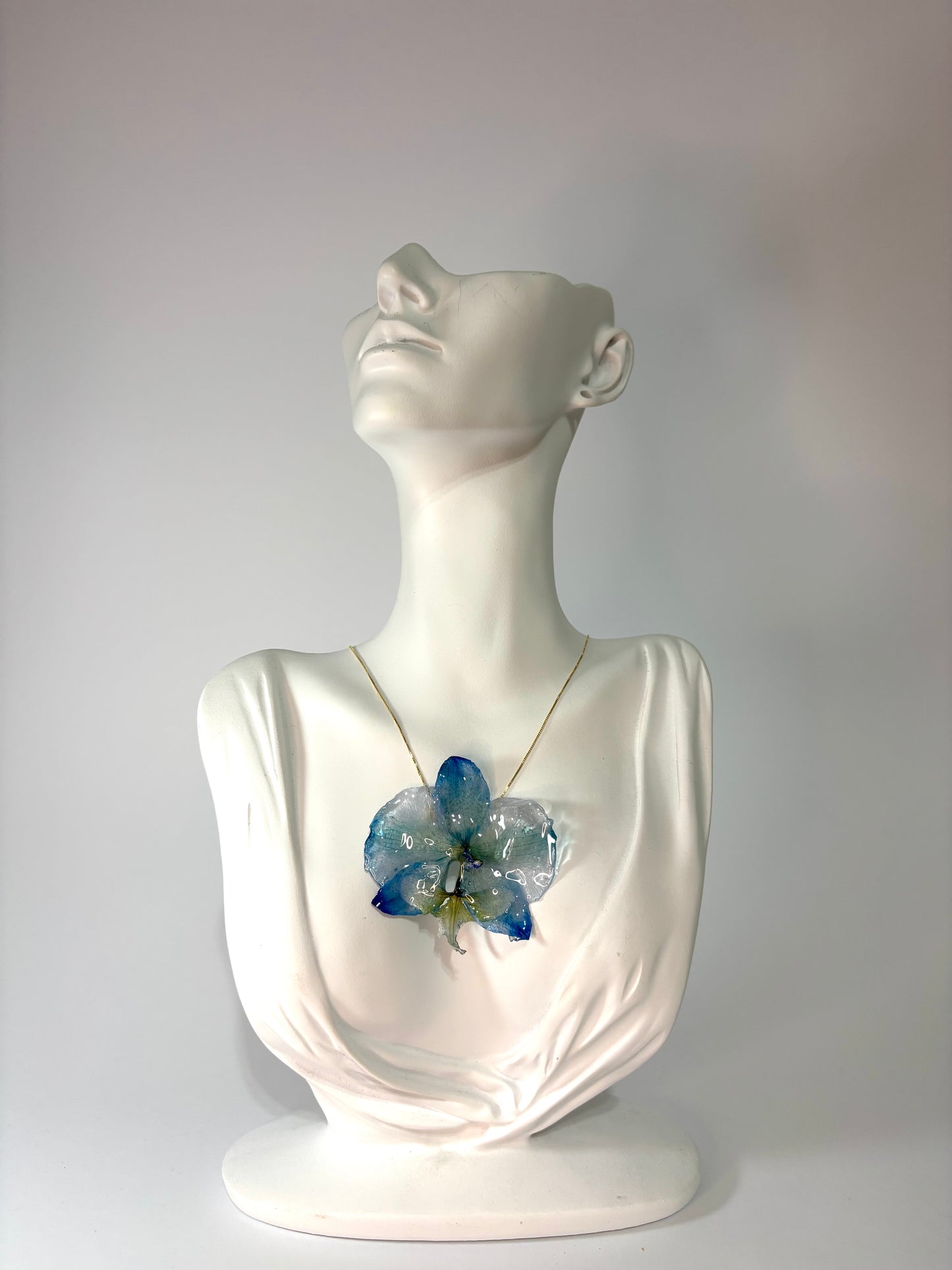 Summer love orchid
