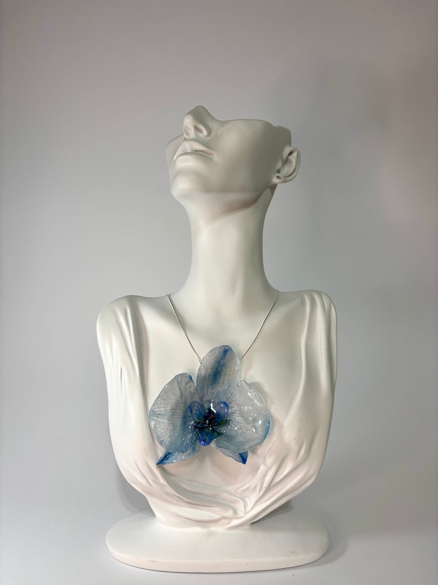 Ocean love orchid