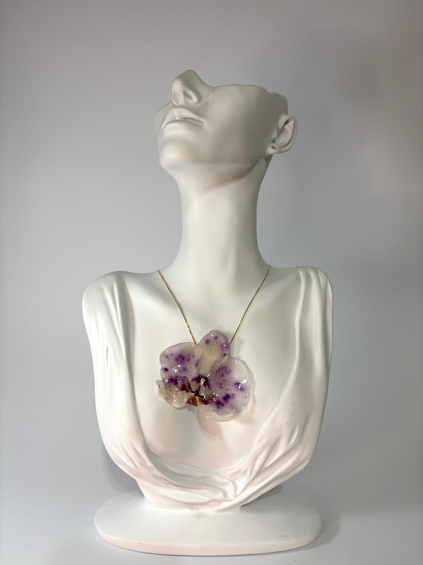 Touch of purple orchid