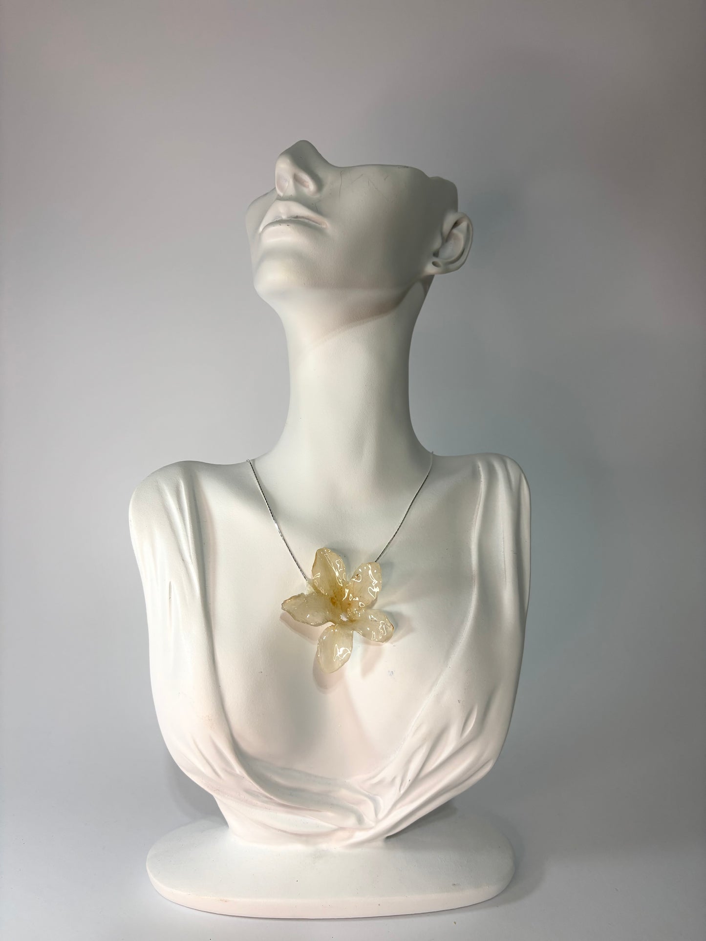 White hibiscus