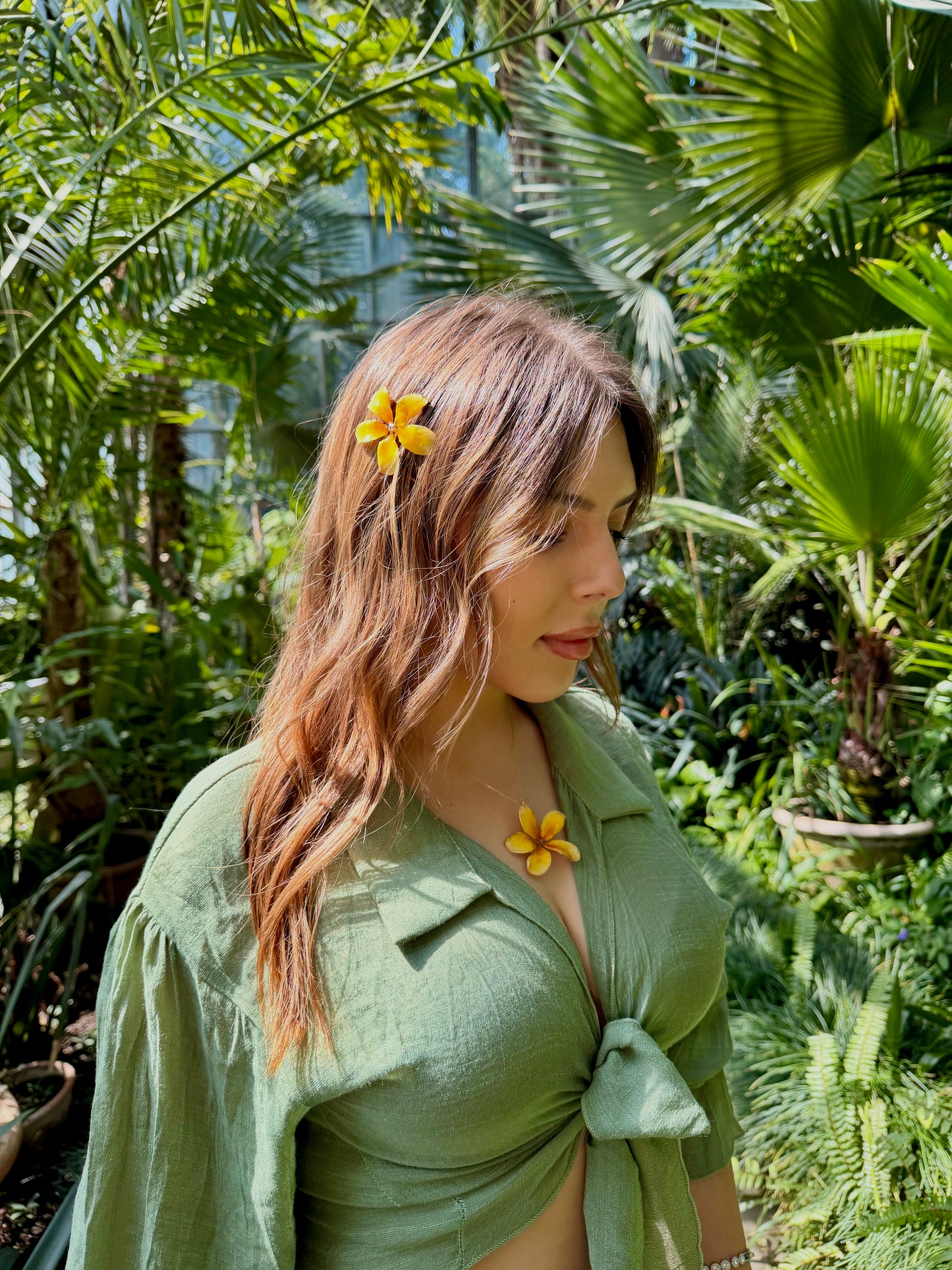 Yellow plumeria set
