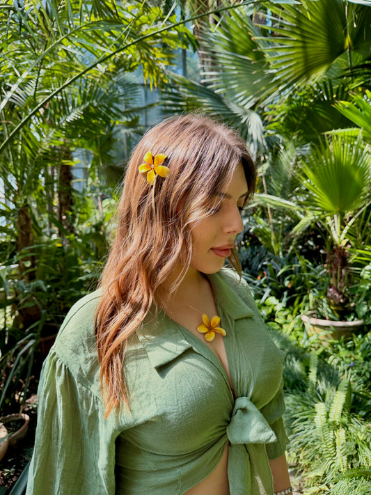 Yellow plumeria set