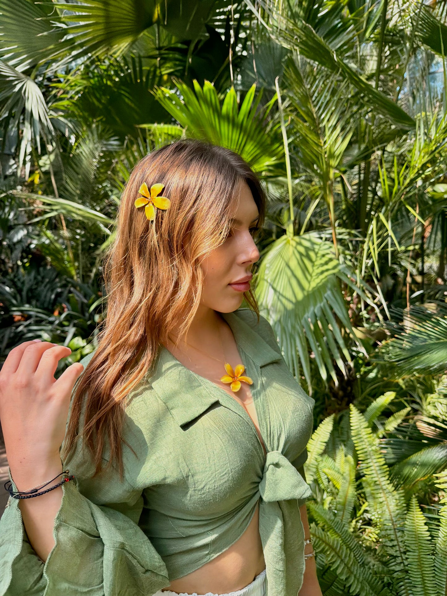 Yellow plumeria set