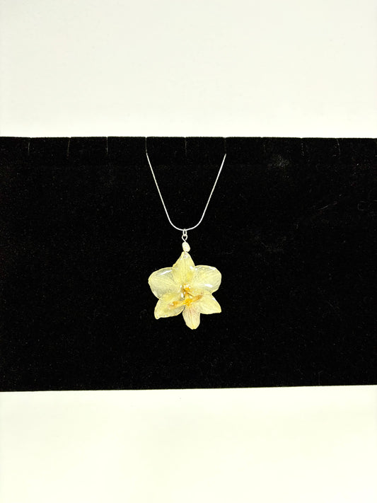 Mini orhidee butter lemon