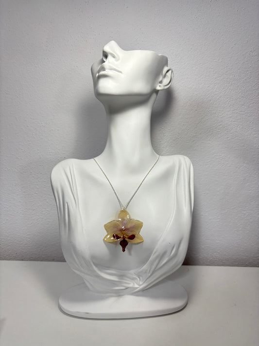 Mini deluxe orchid