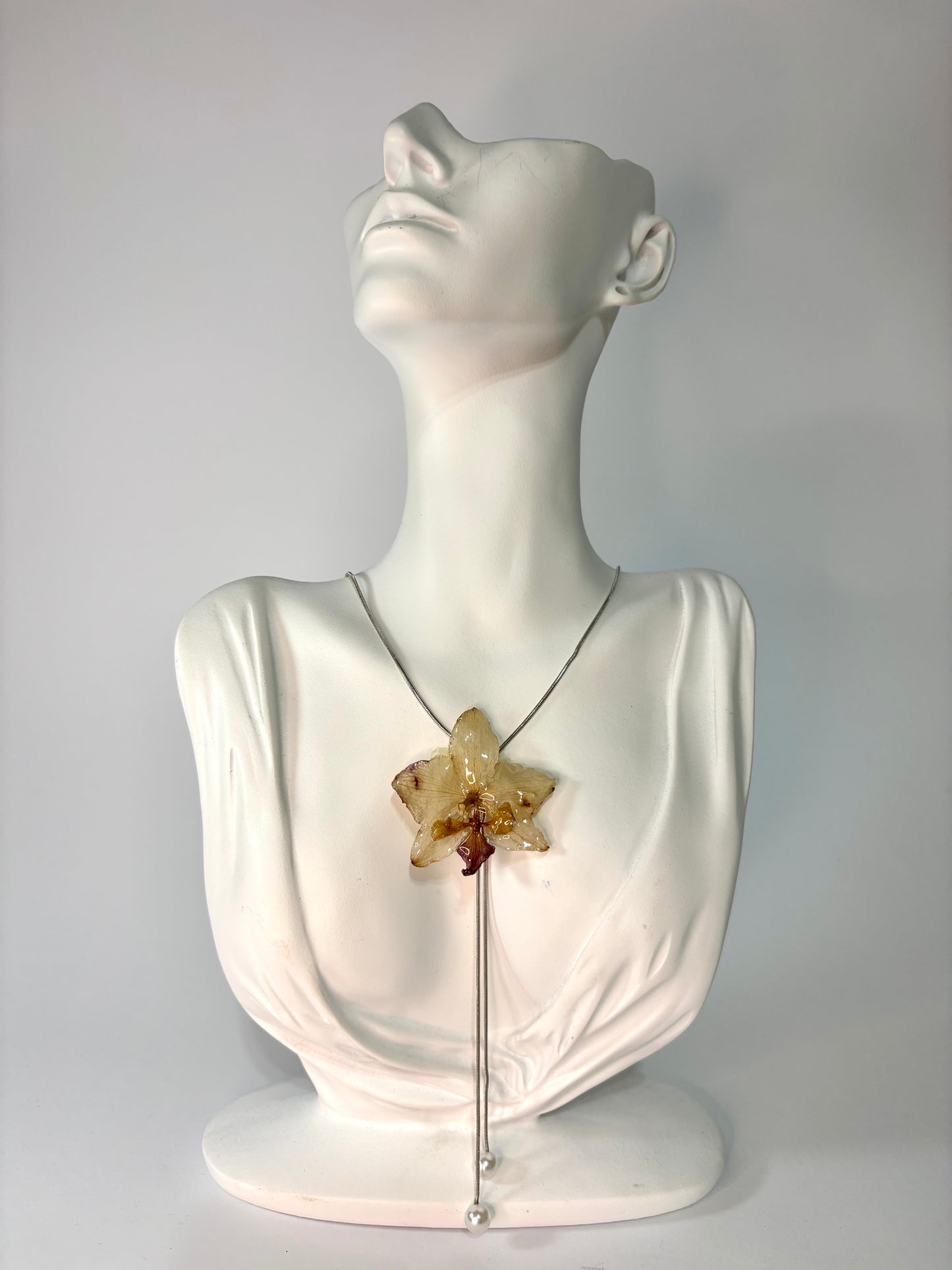 Mini soft brown orchid