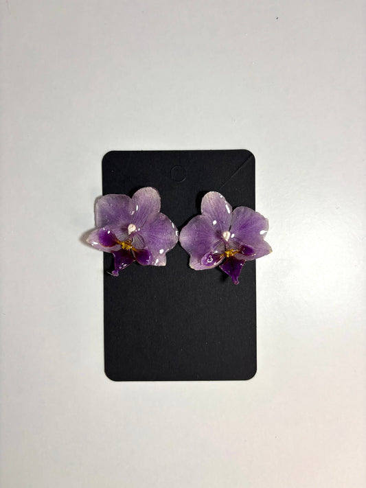 Aretes lila