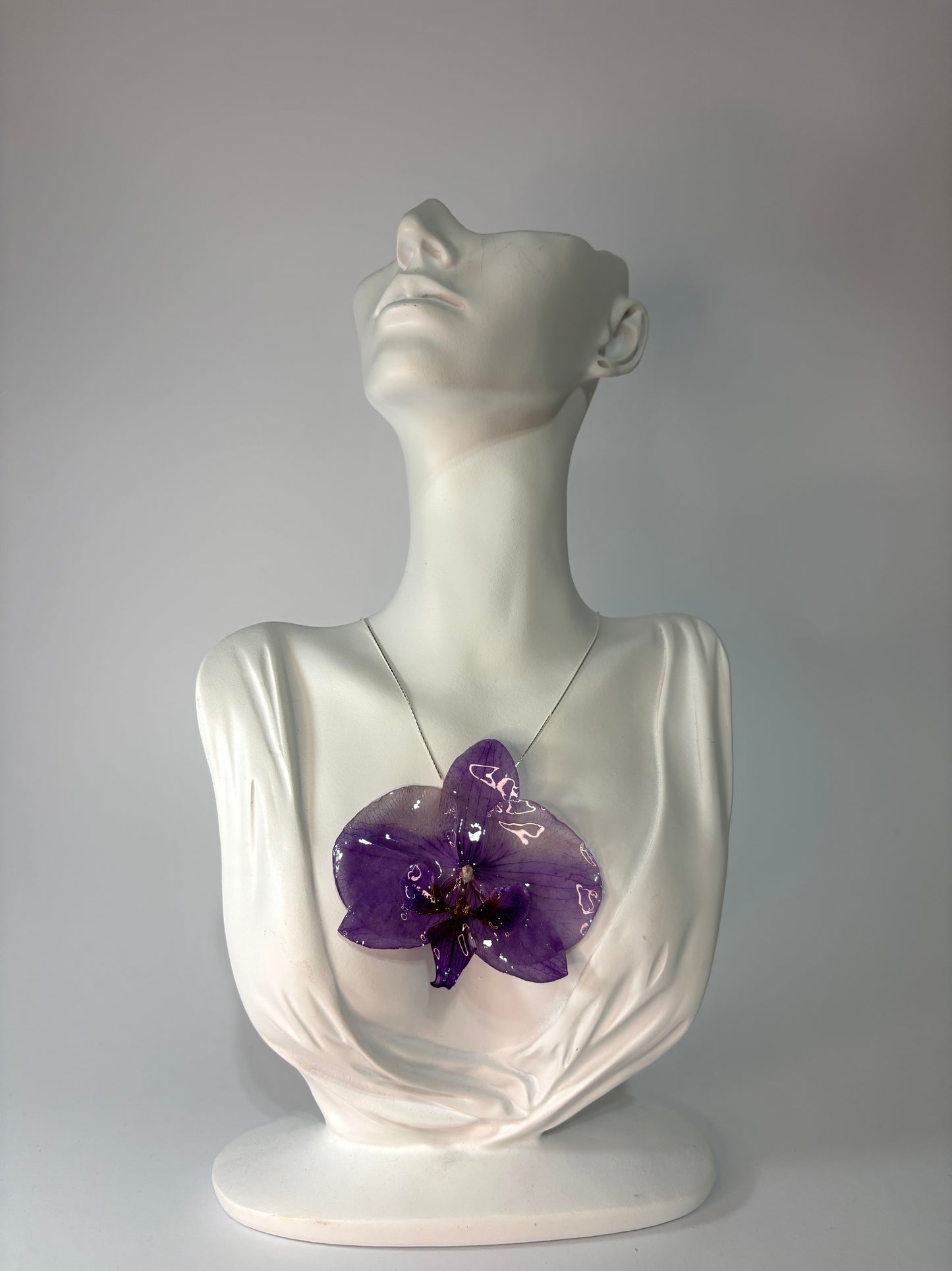 Purple deluxe orchid