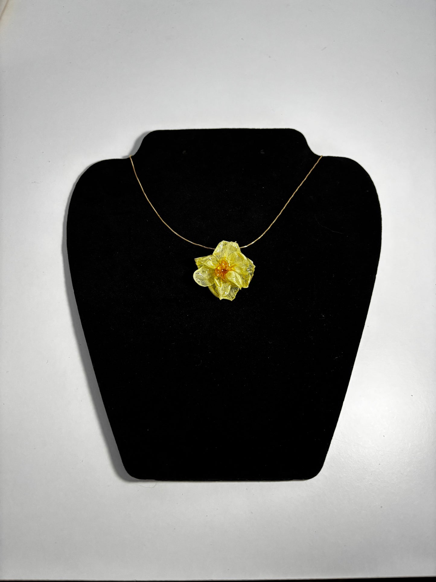 Mini narcisă 🌼