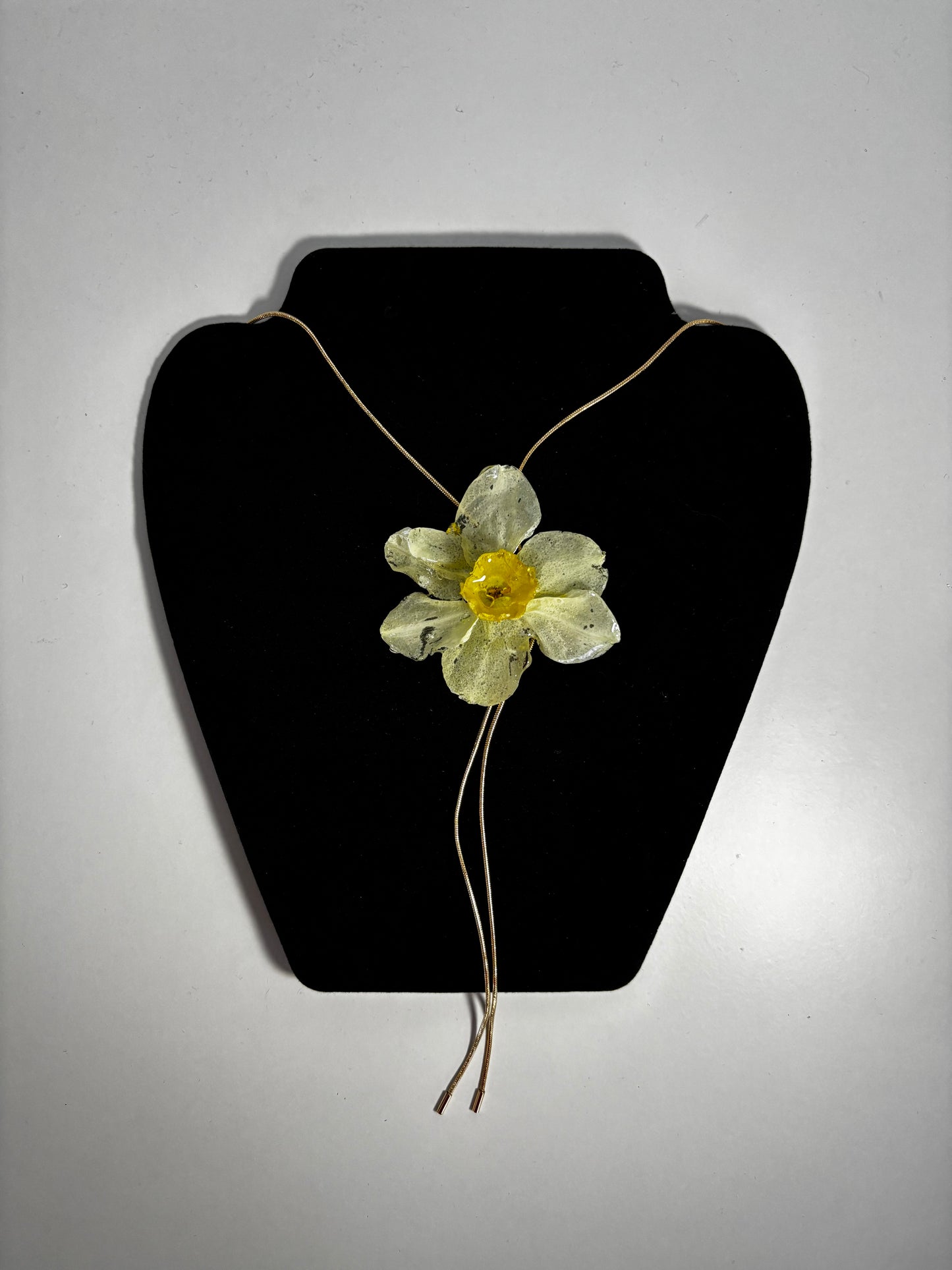Narcisă albă 🌼