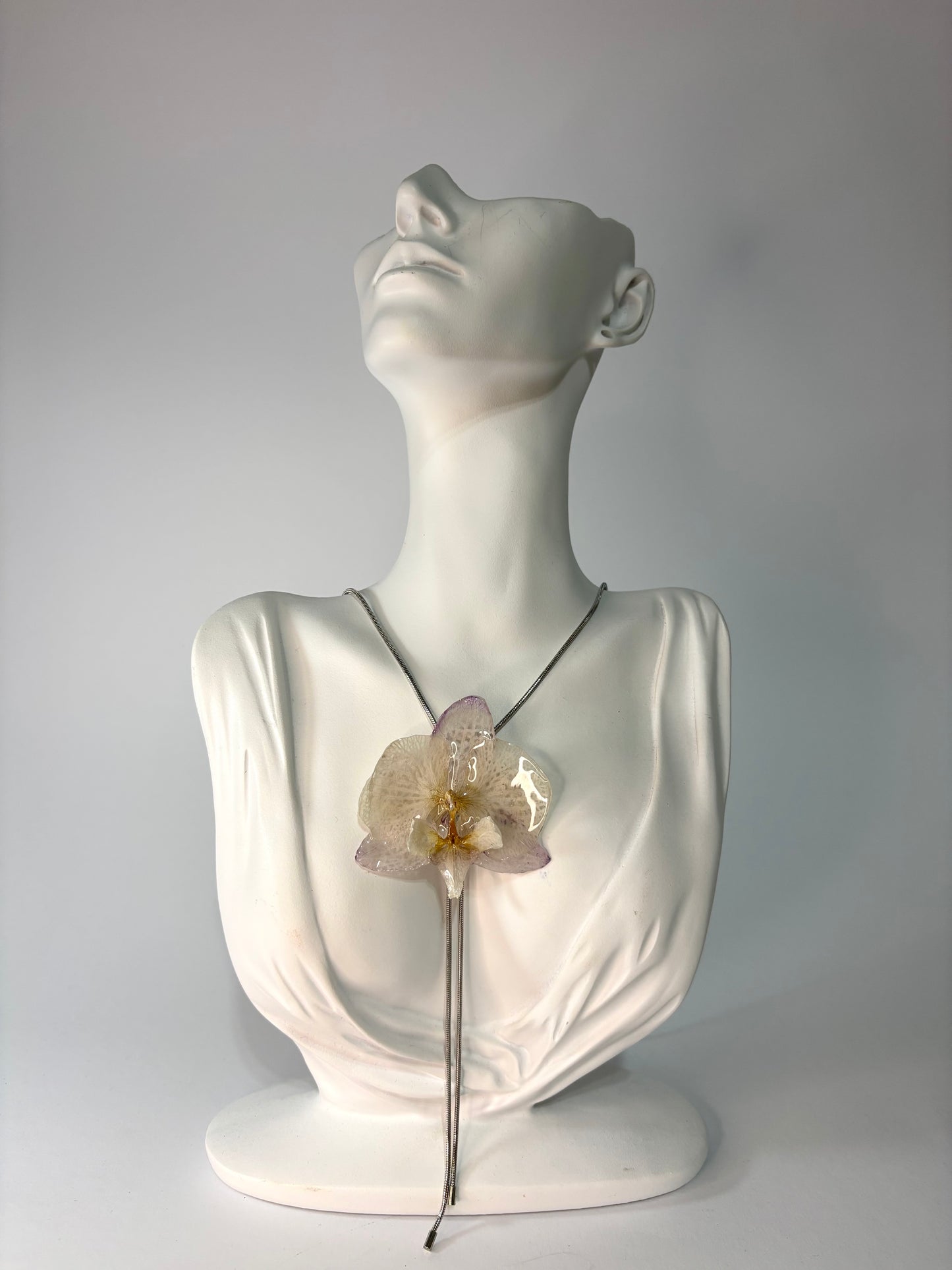 Kala orchid