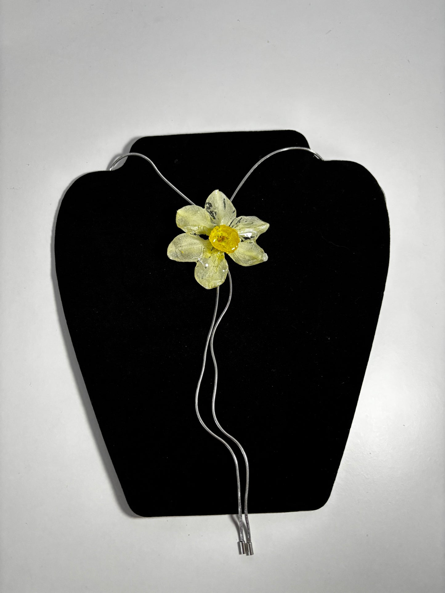 Narcisă albă 🌼