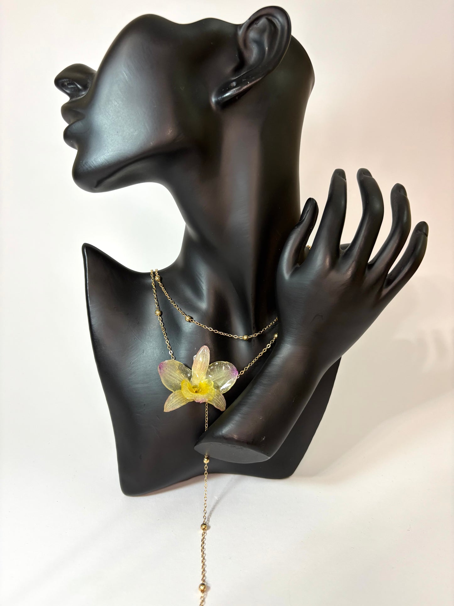 Tropical orchid 🌺🥥🌴