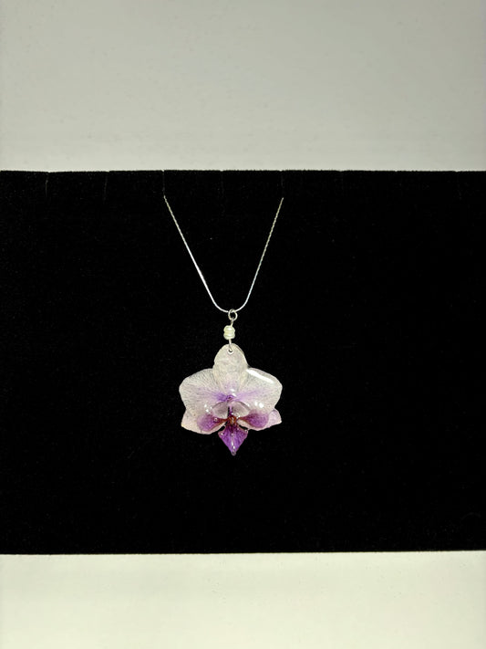 Mini soft purple orchid