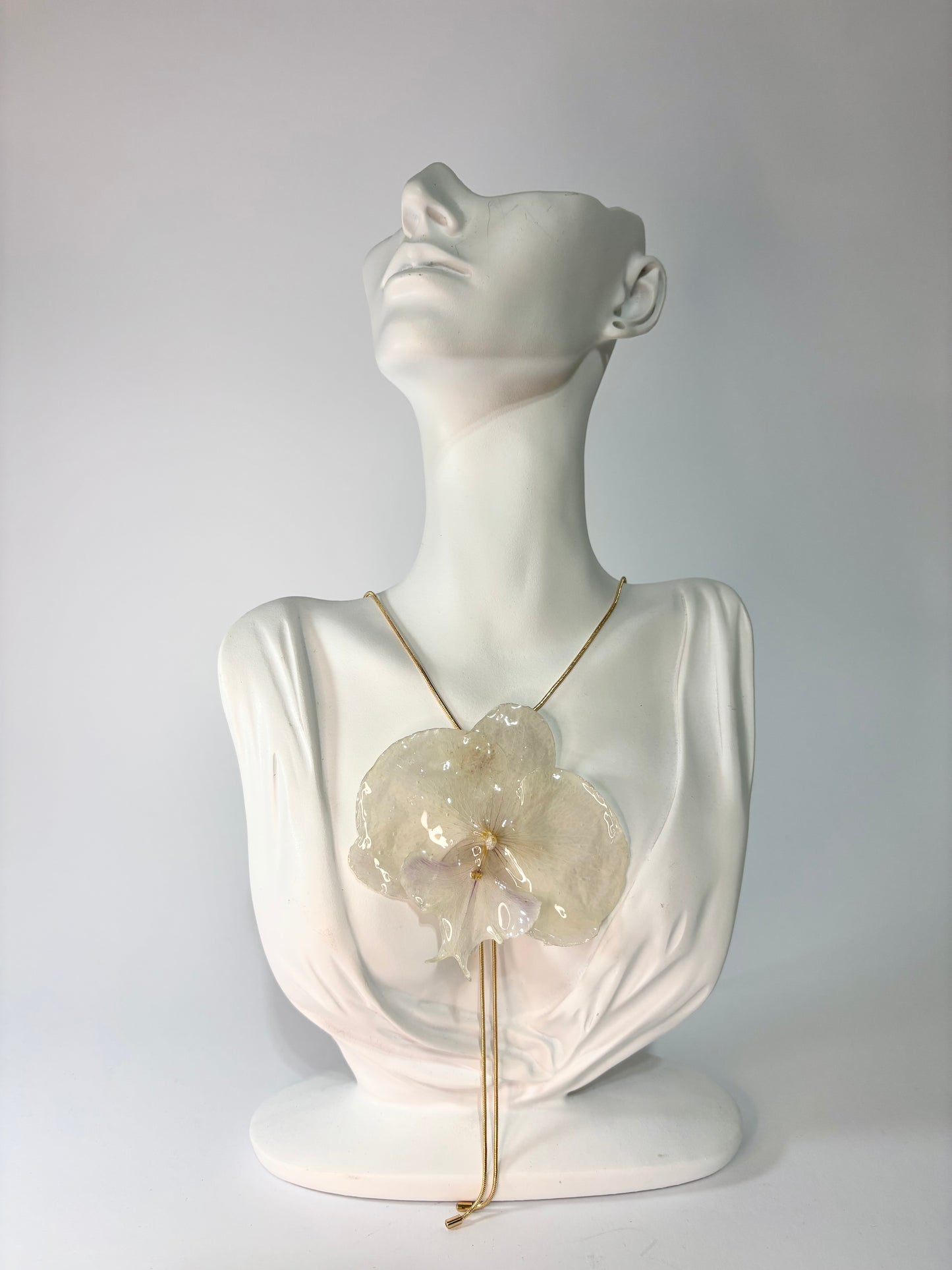 Royal white orchid