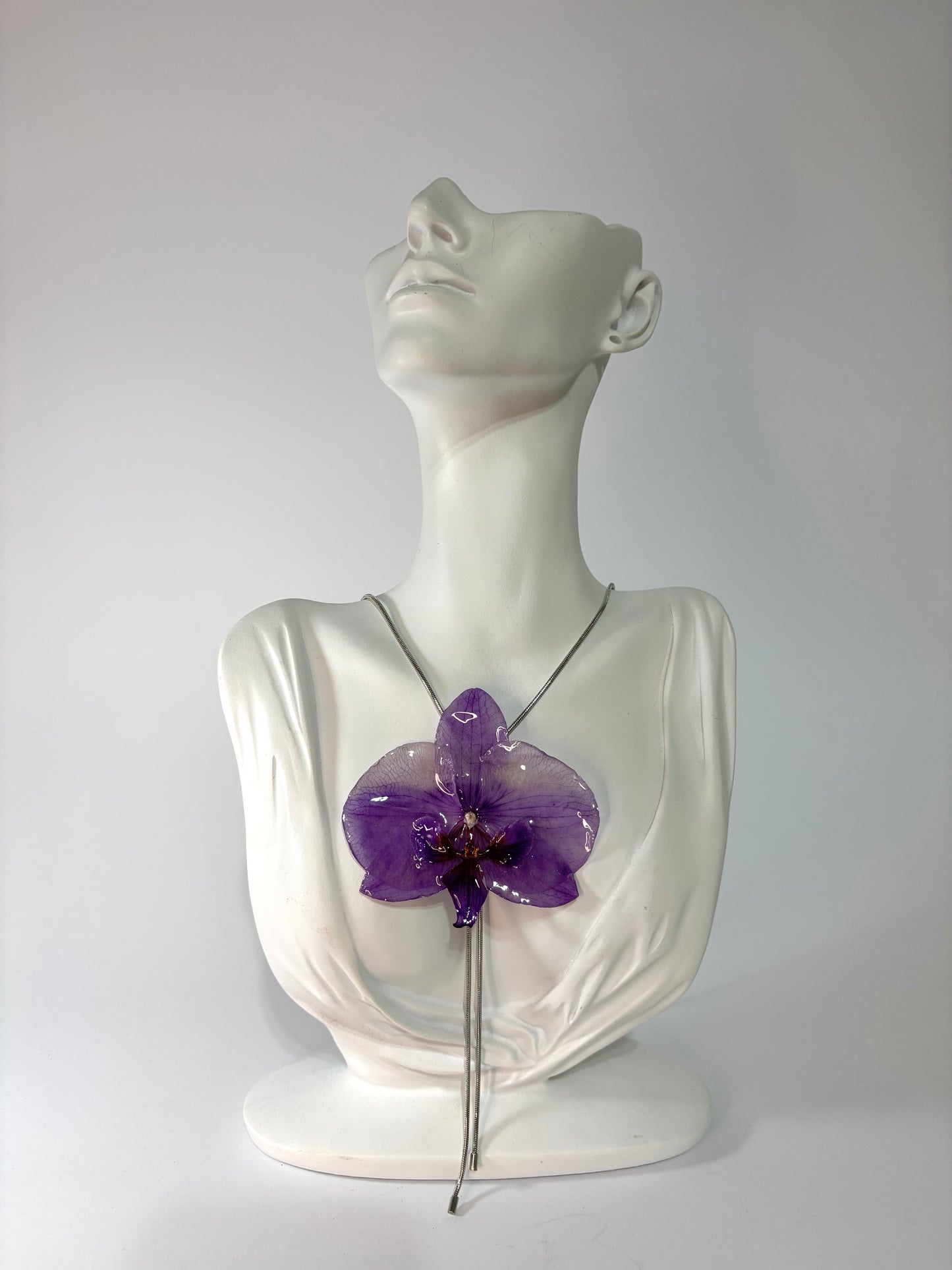 Purple deluxe orchid