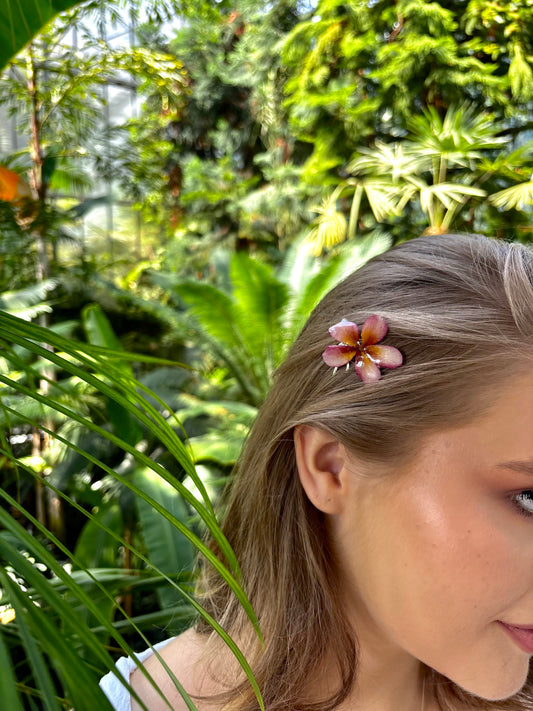 Pink plumeria clips