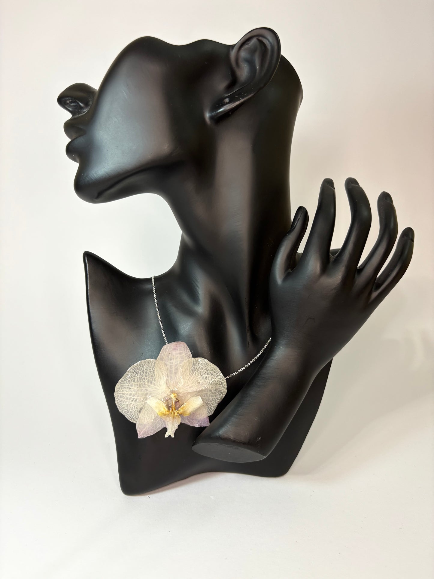 Touch of purple orchid