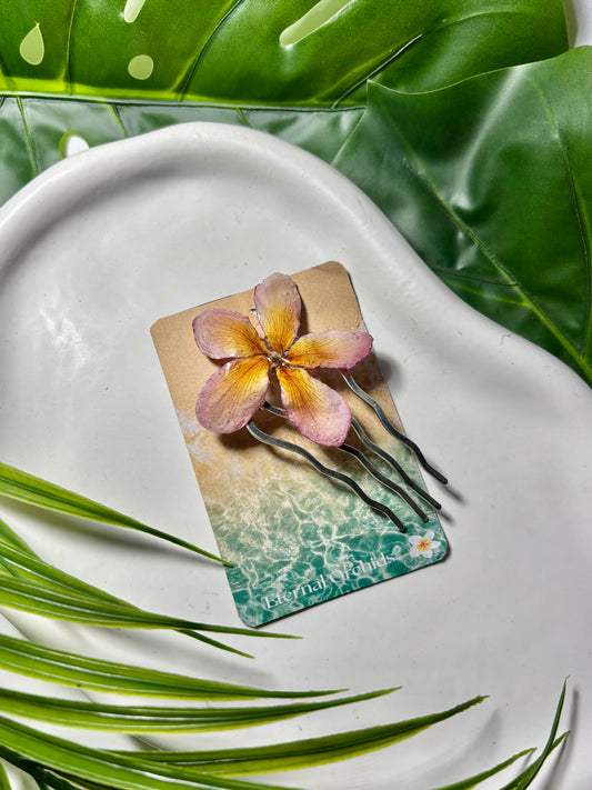Pince à cheveux Plumeria coucher de soleil
