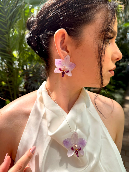 Set island orchid 🌺