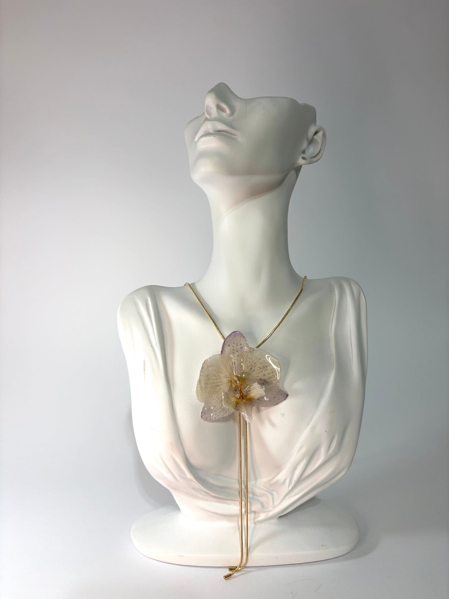 Kala orchid