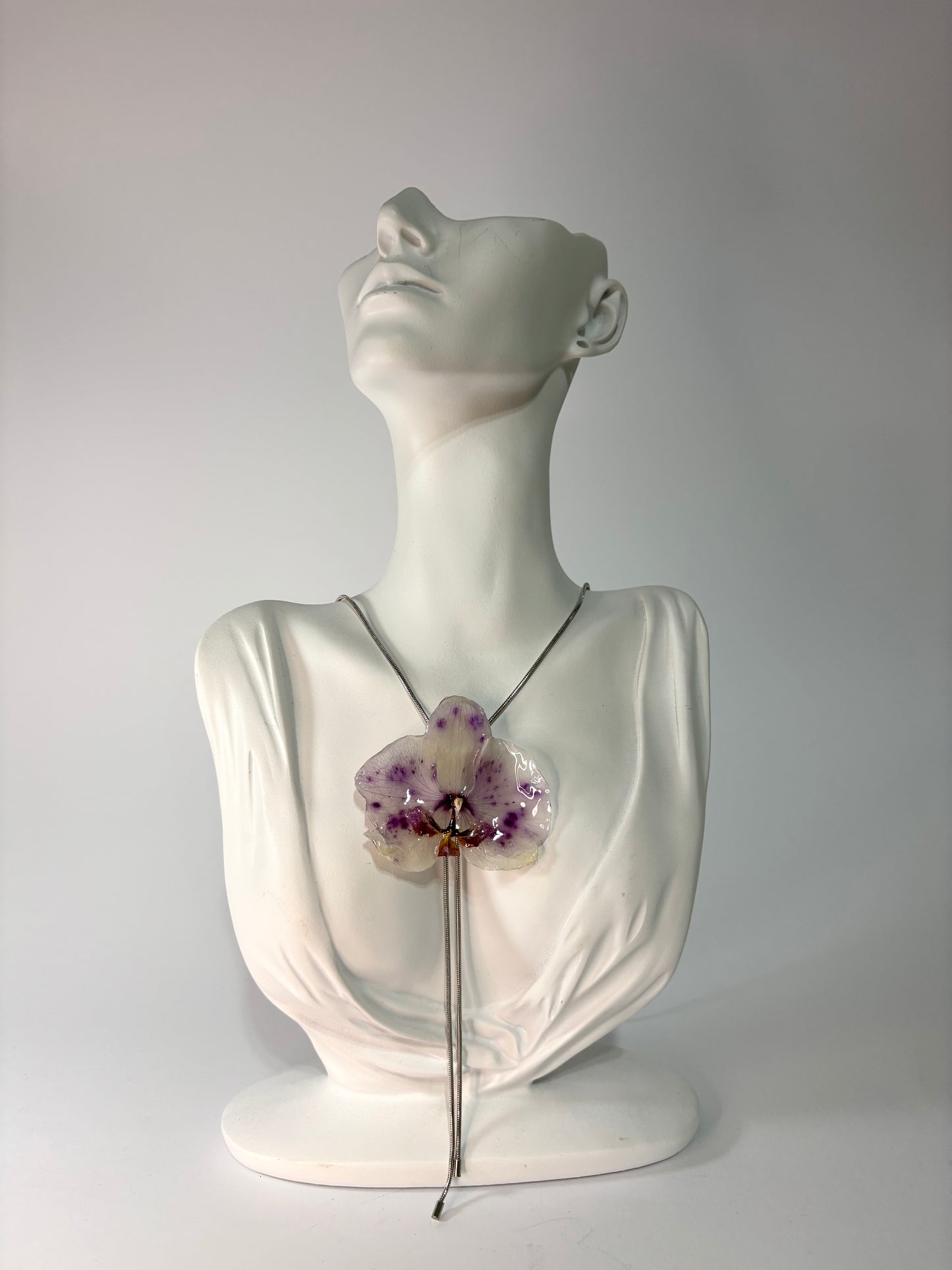 Touch of purple orchid