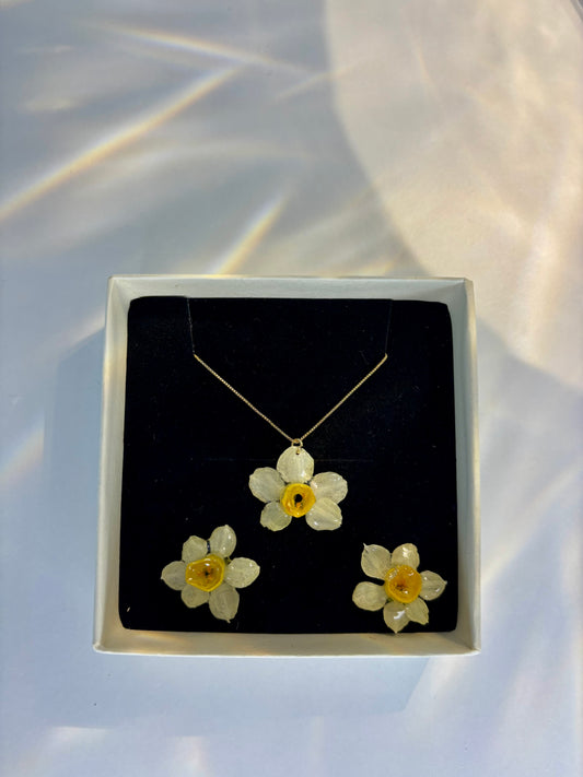 Set placat cu aur mini narcisă 🌼