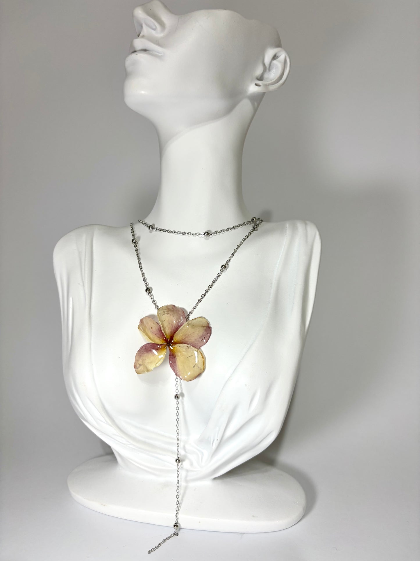 Soft pink Plumeria