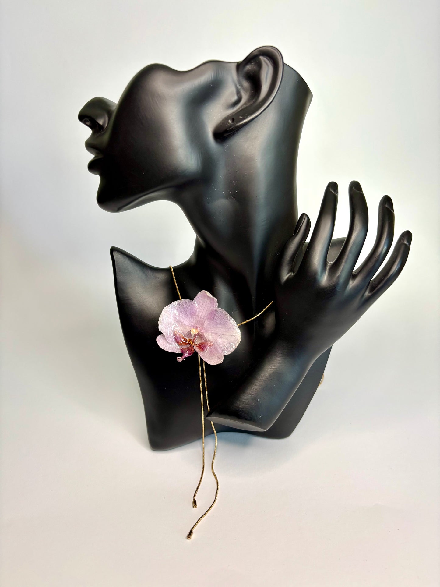 Mini Lotus orchid