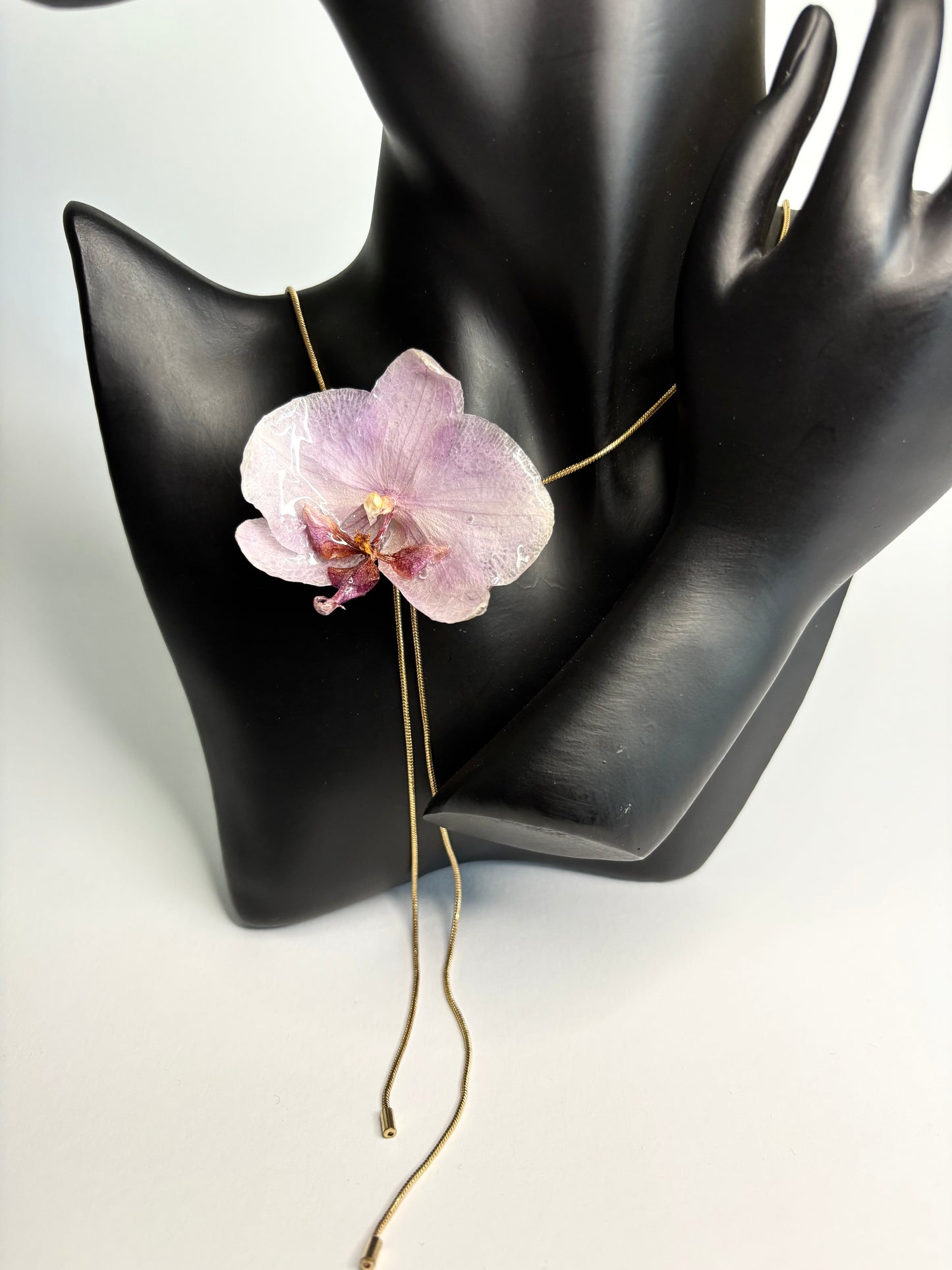 Mini Lotus orchid