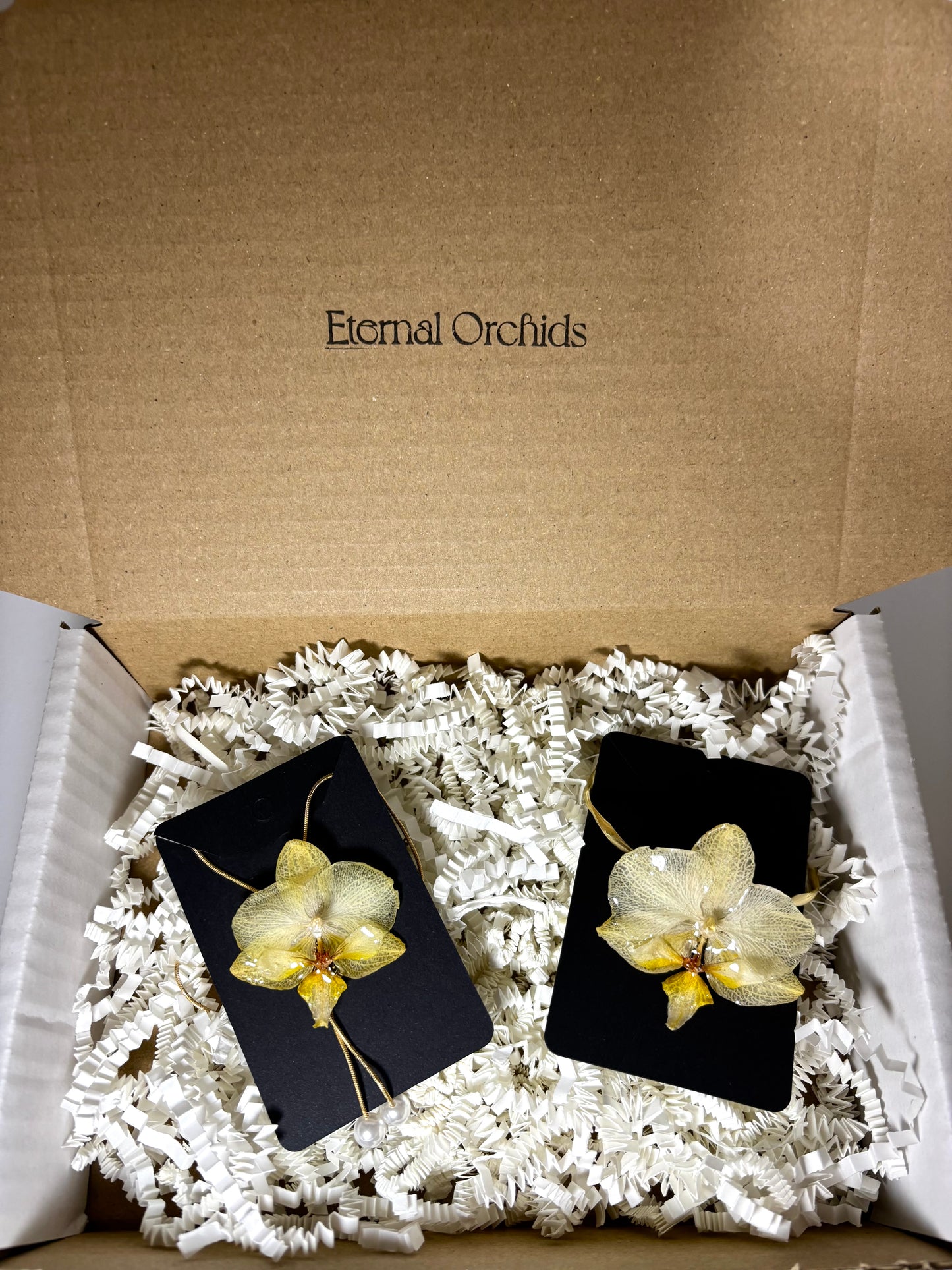 Set yellow Orchids