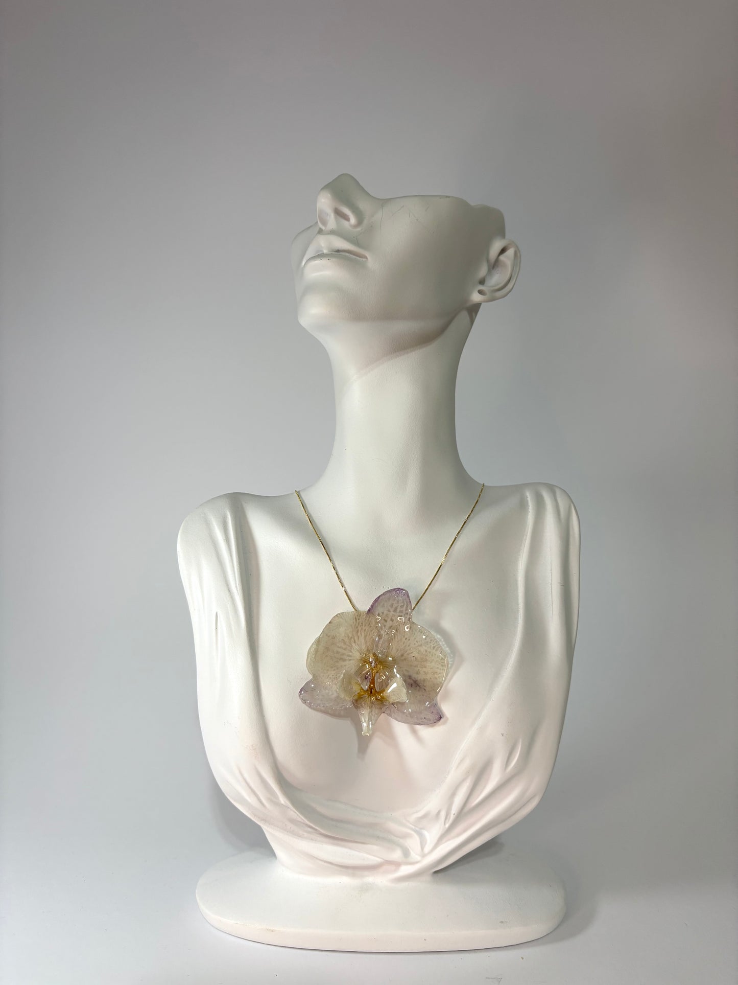 Kala orchid