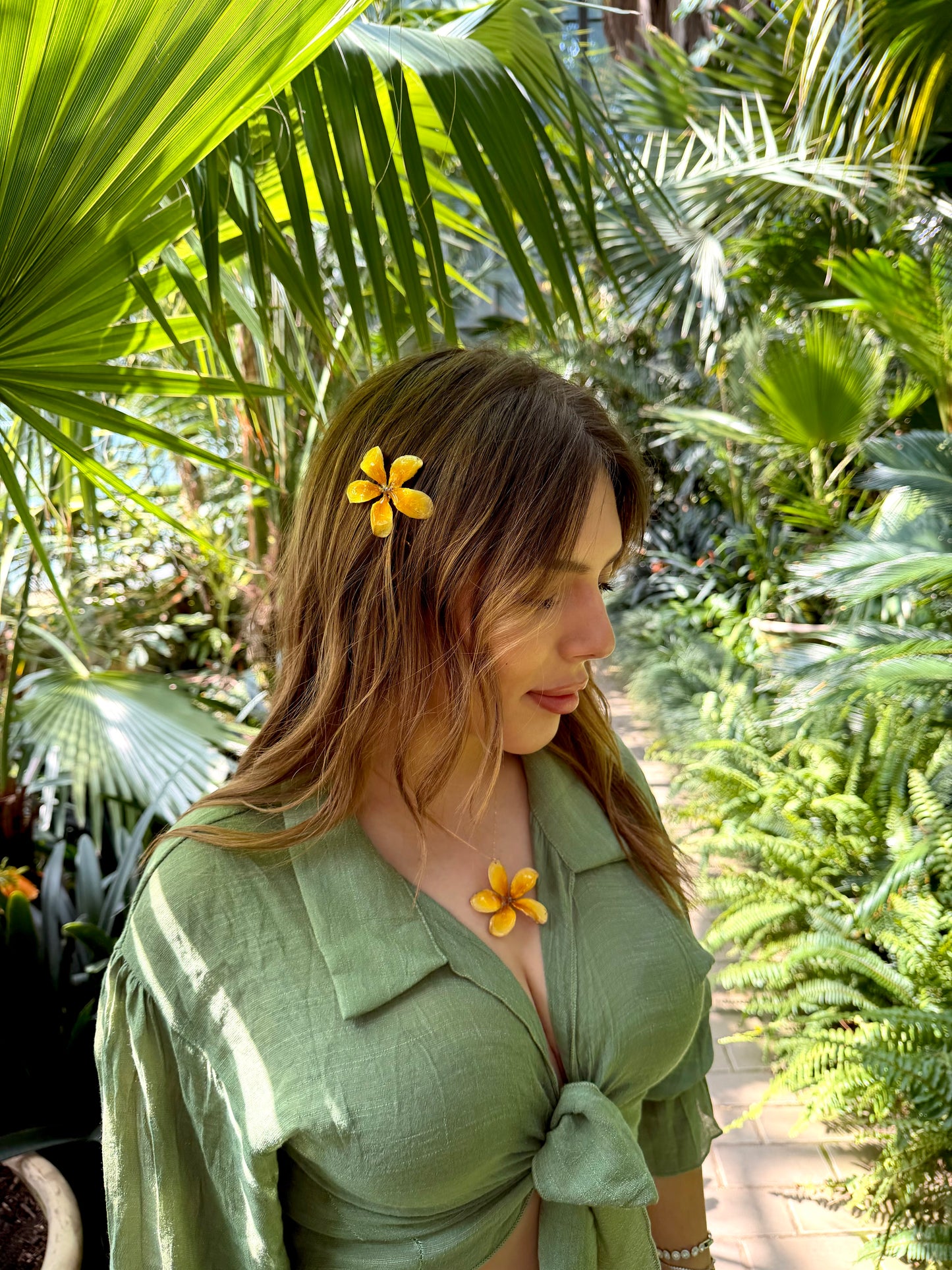 Yellow plumeria set