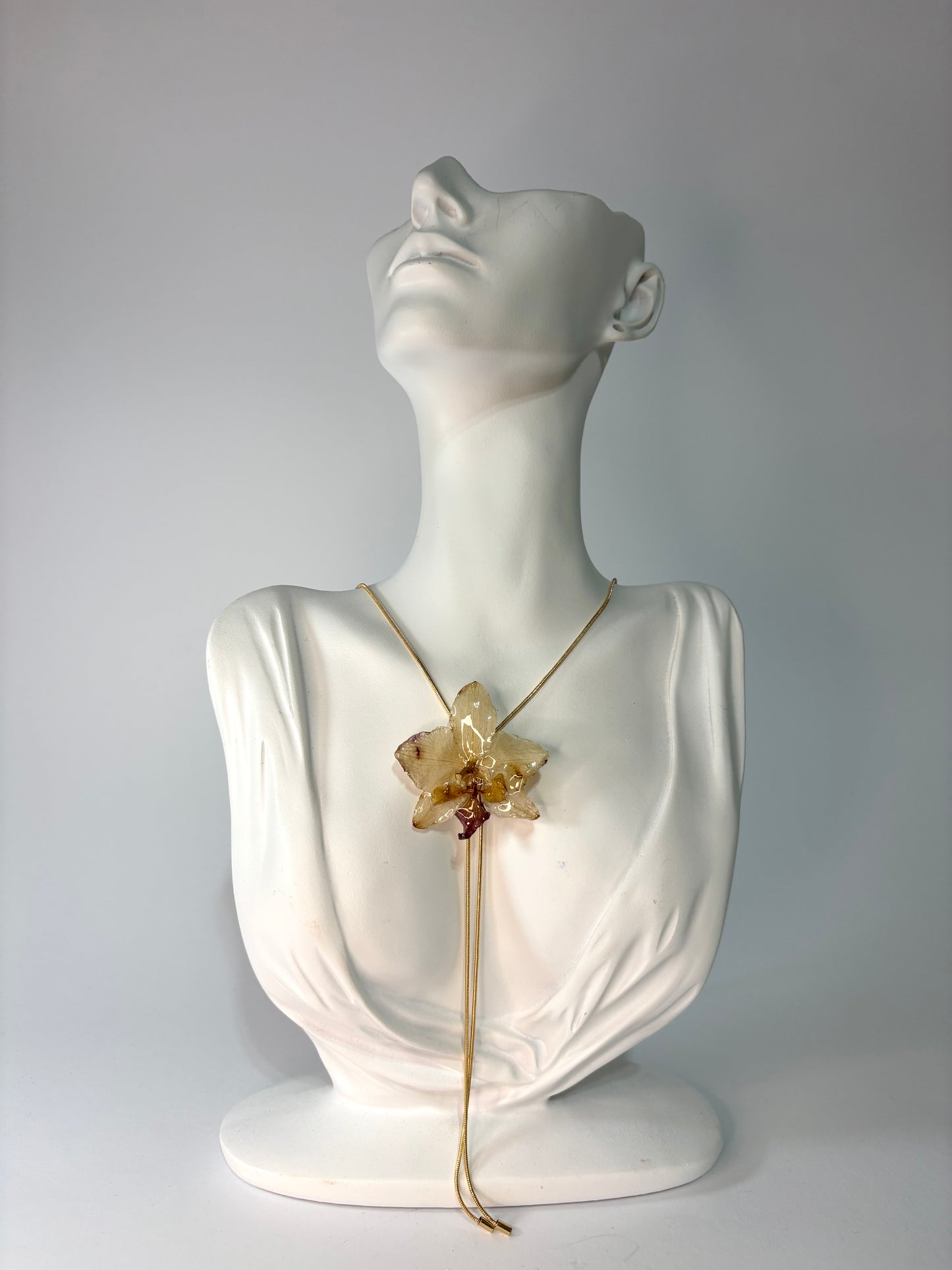 Mini soft brown orchid
