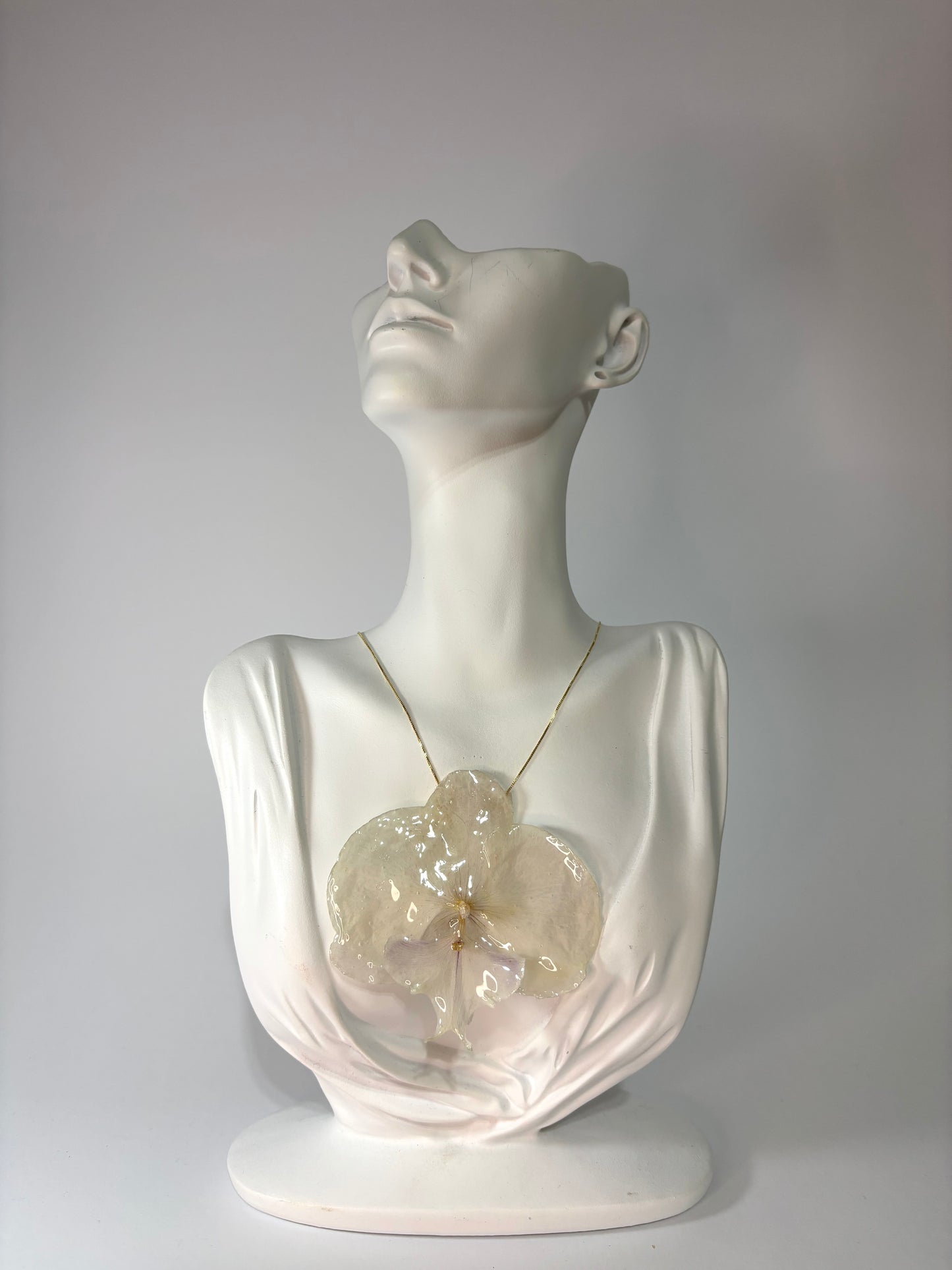 Royal white orchid