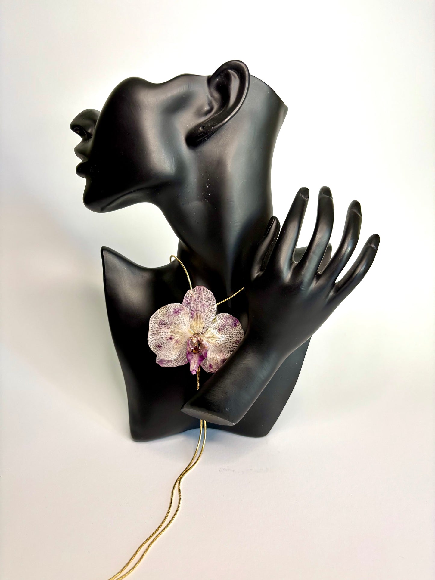 Pink and purple orchid