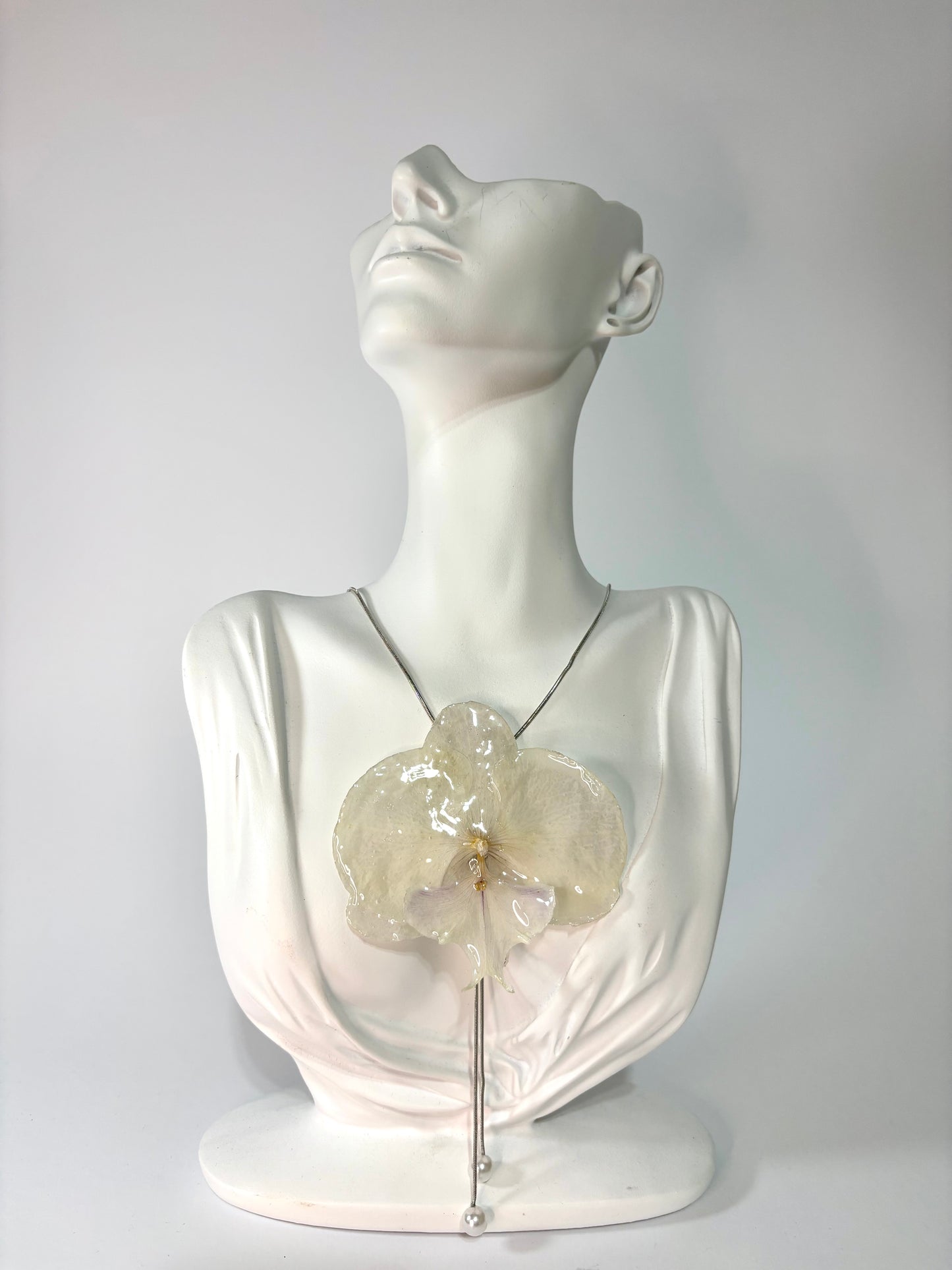 Royal white orchid