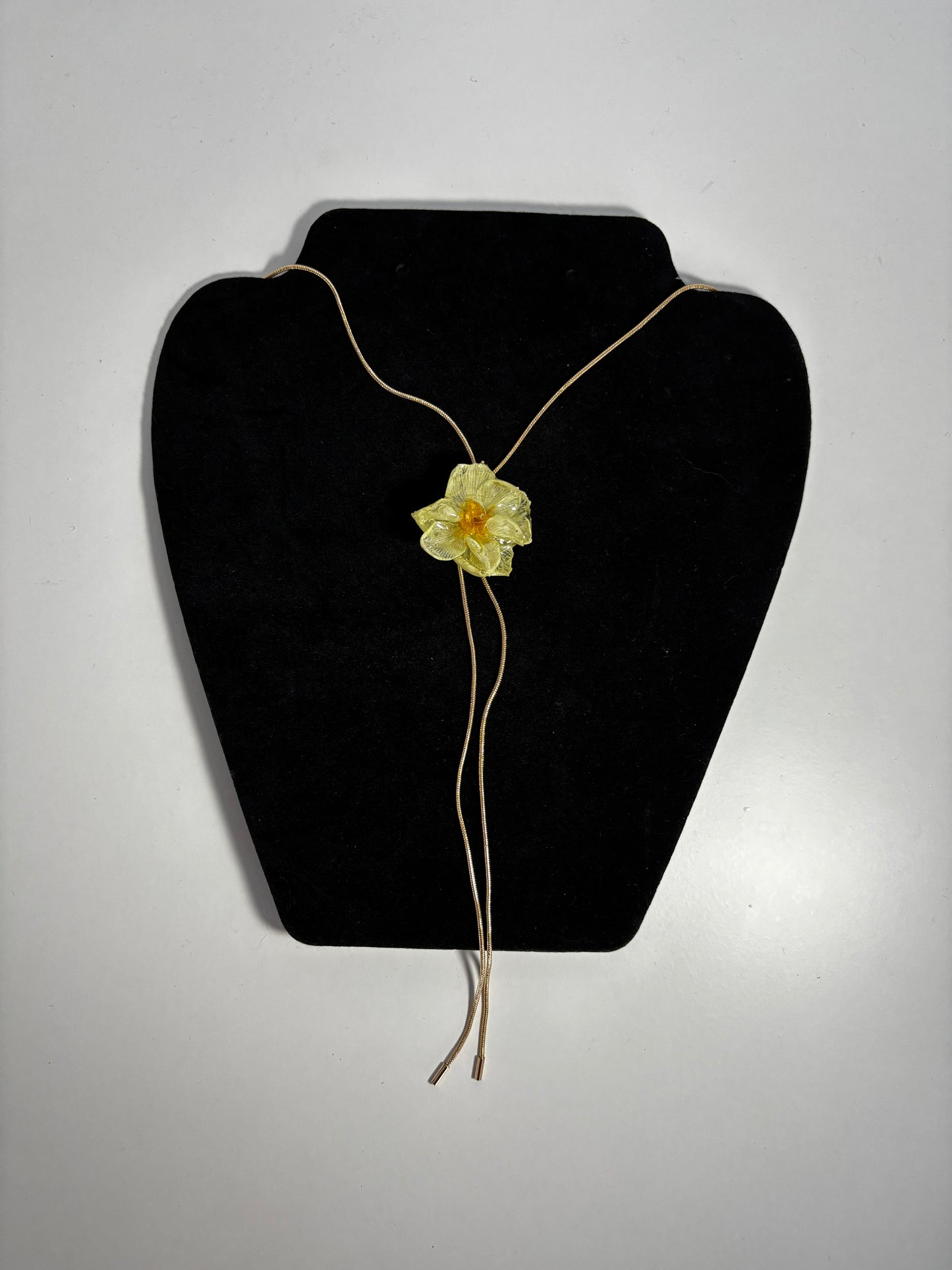 Mini narcisă 🌼