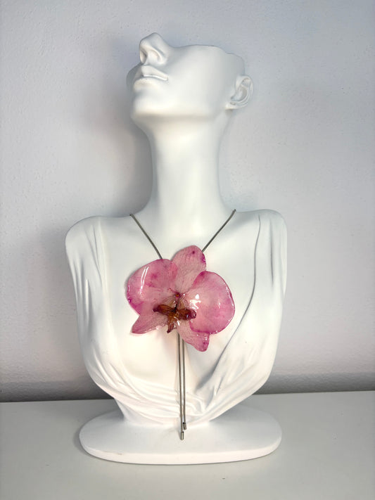Rosy orchid