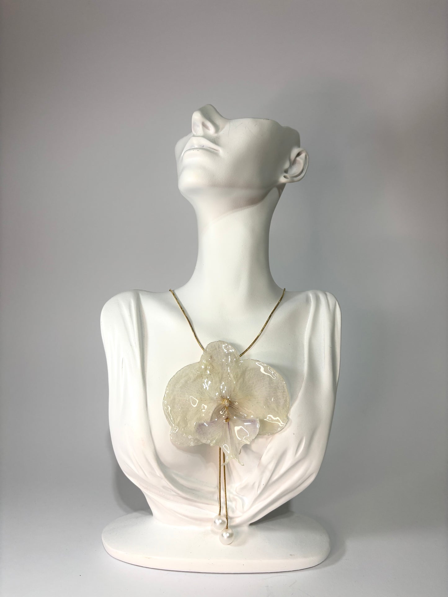 Royal white orchid