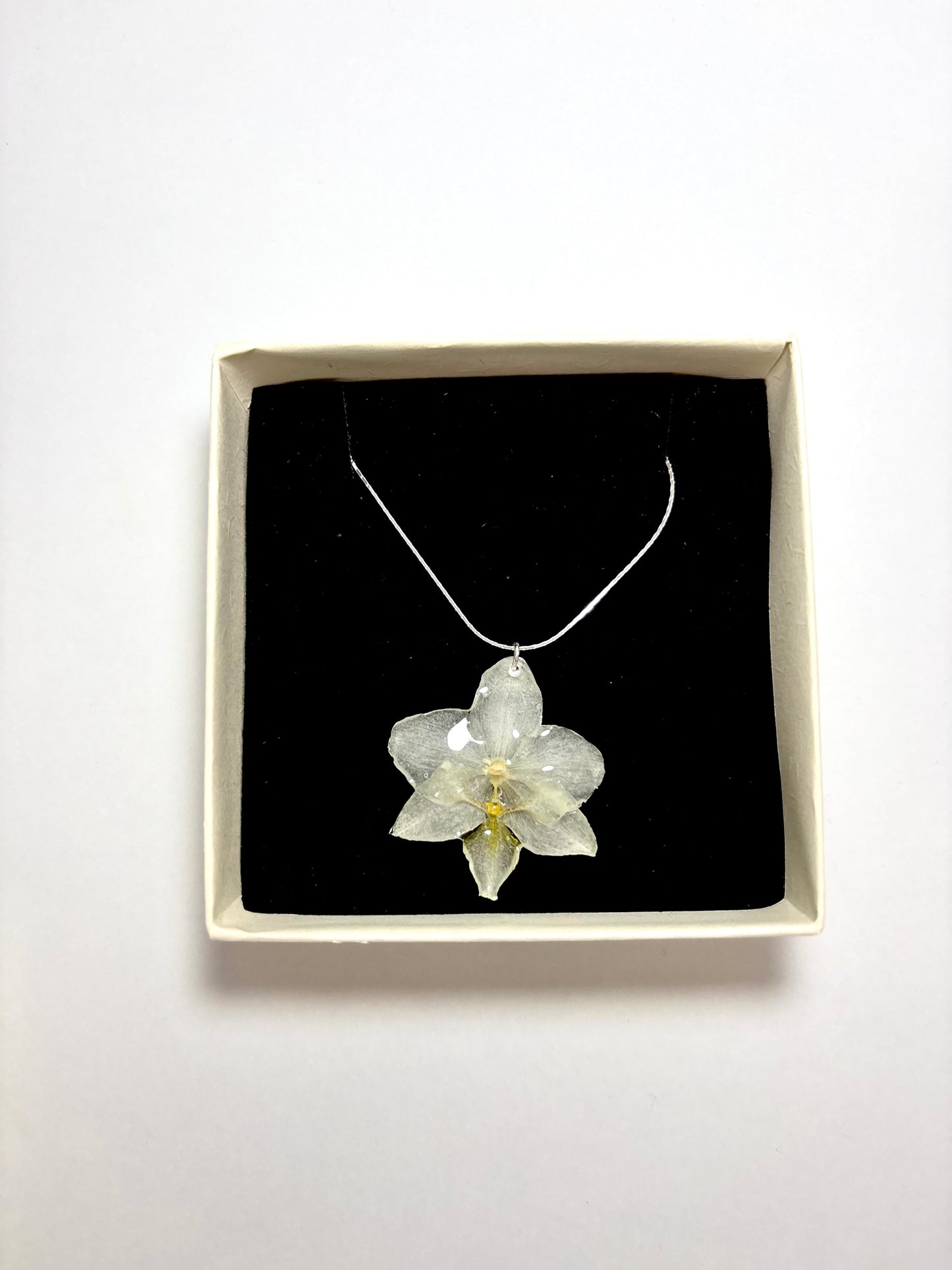 Mini white orchid