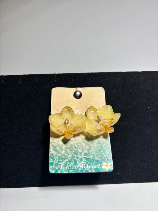 Boucle d'oreille orchidée des sables jaune