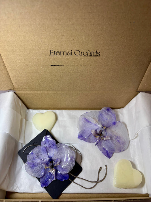 Set Dark blue orchid
