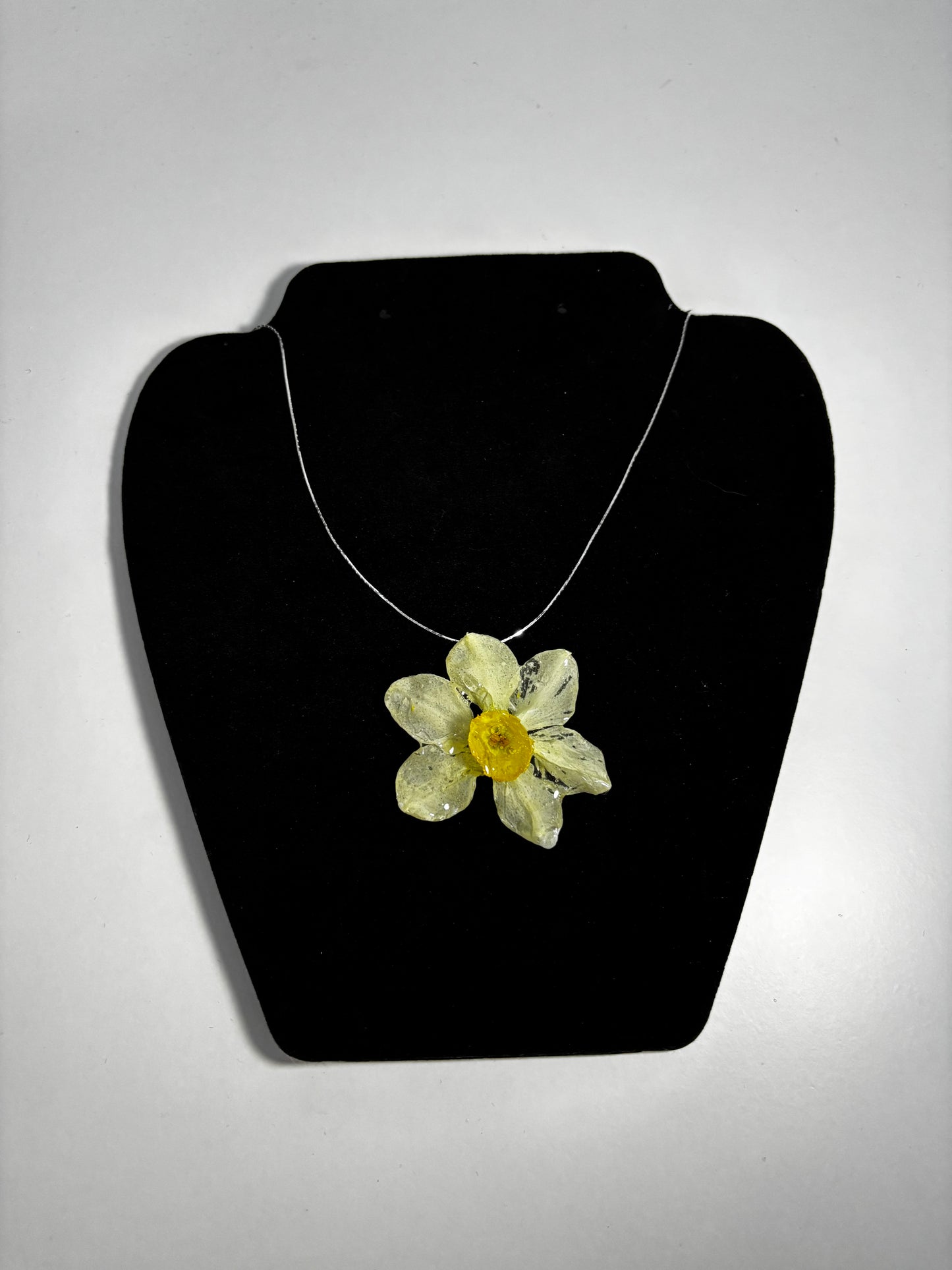 Narcisă albă 🌼