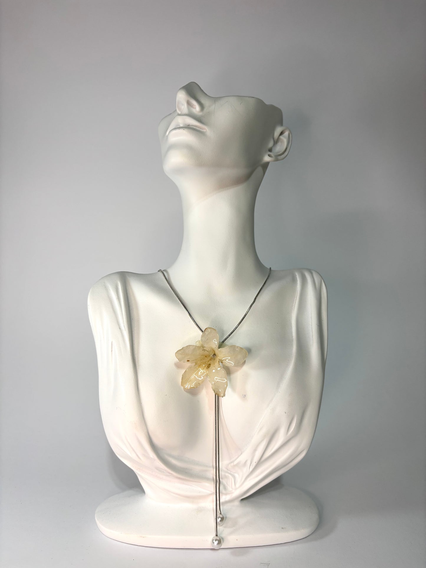 White hibiscus