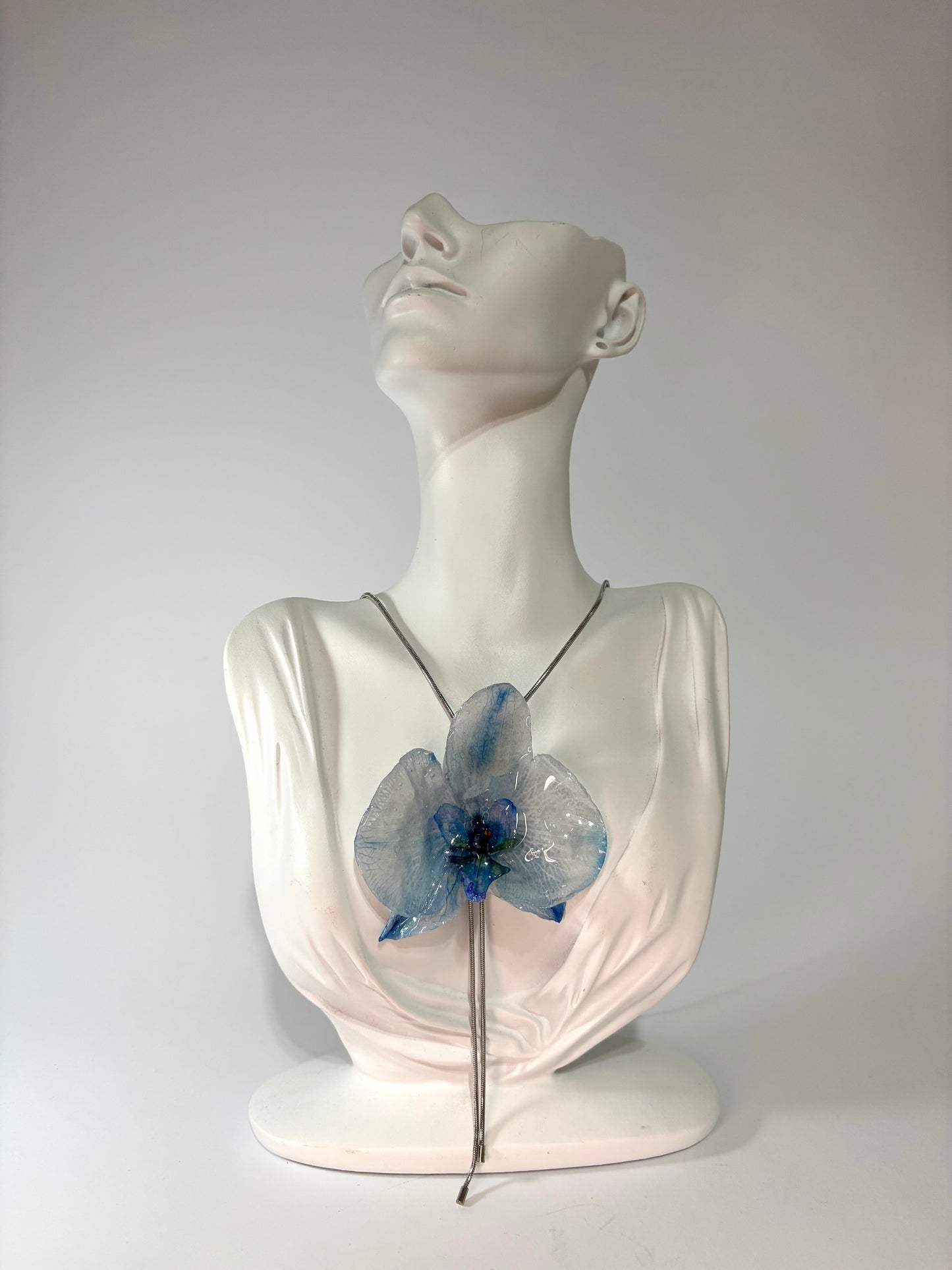 Ocean love orchid