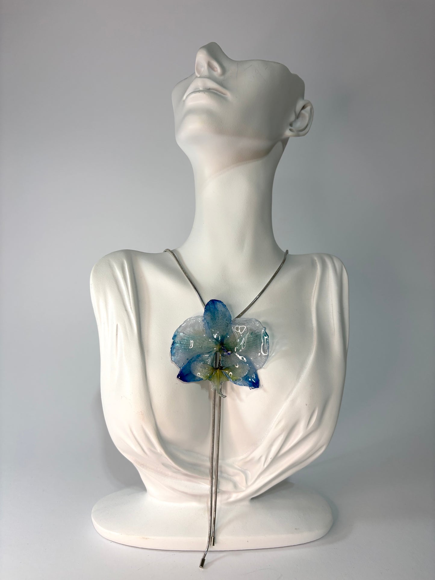 Summer love orchid