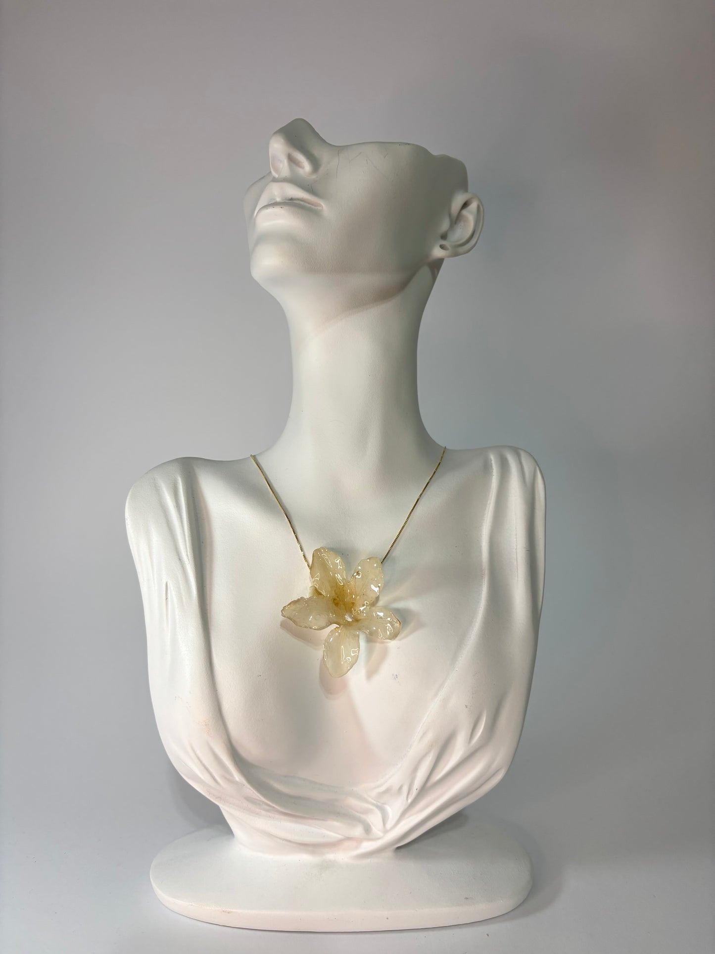 White hibiscus